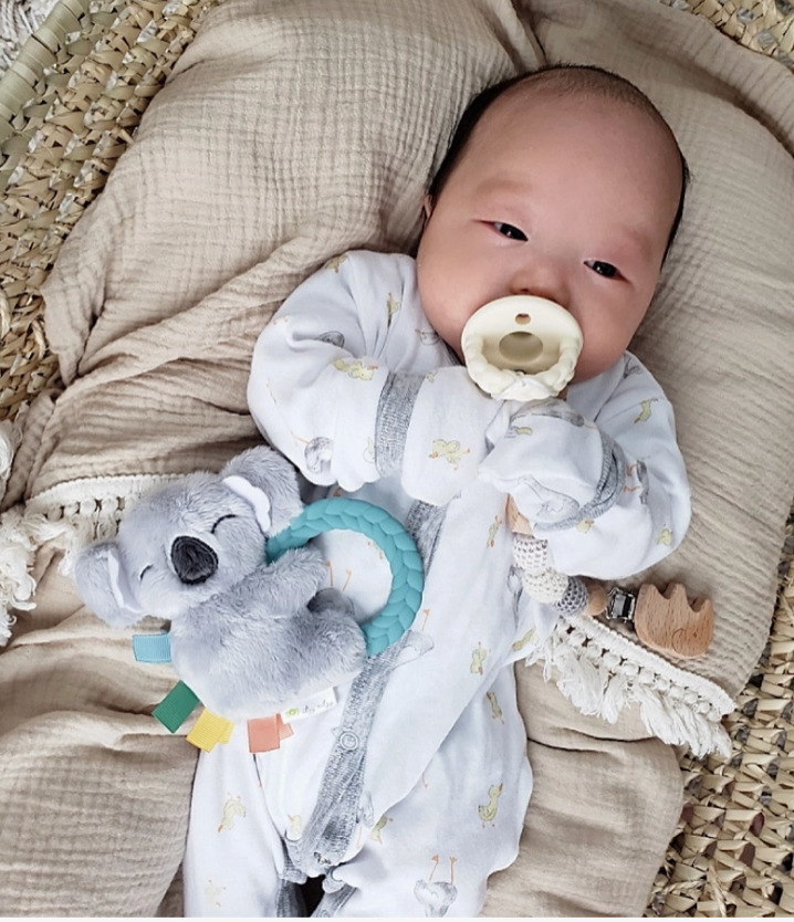 Koala Ritzy Rattle Pal