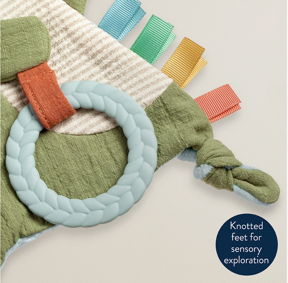Dino Bitzy Crinkle Toy