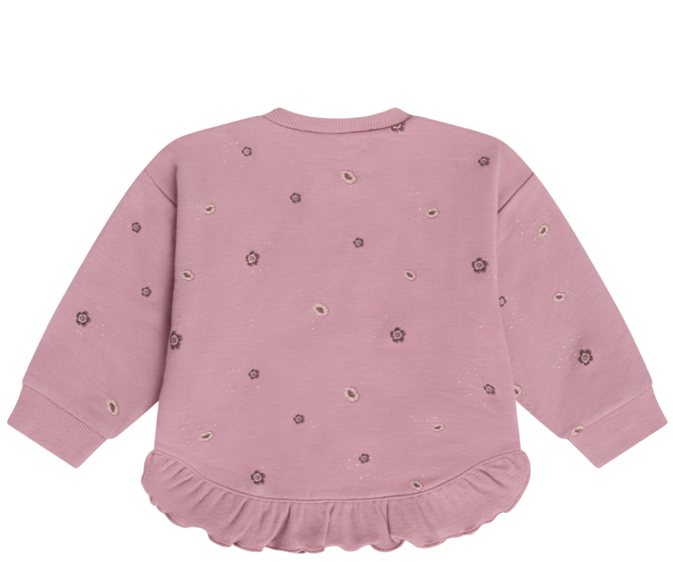 Baby Girl Tiny Floral Sweatshirt Top