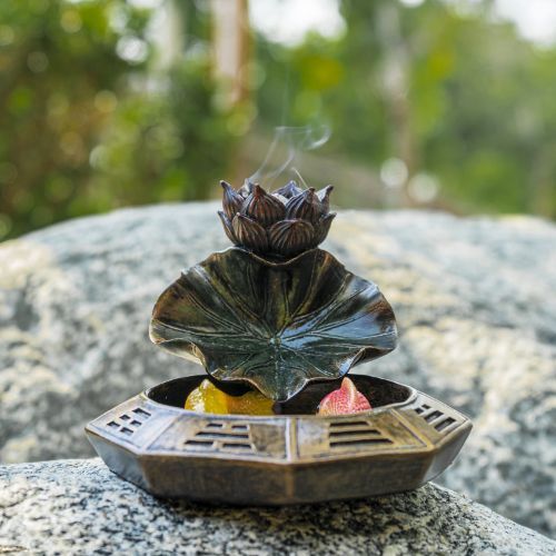 Ying Yang Koi Backflow Incense Burner