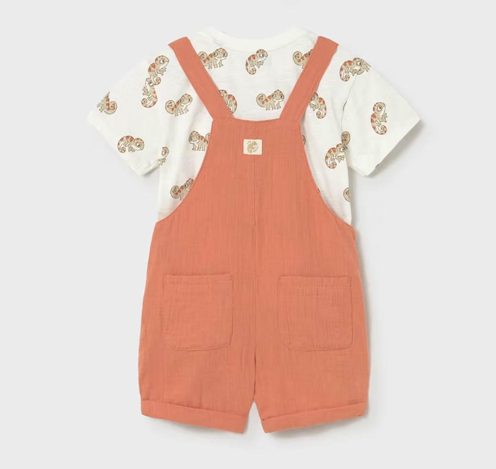 Baby Lizard Tee + Shortie Overall Set