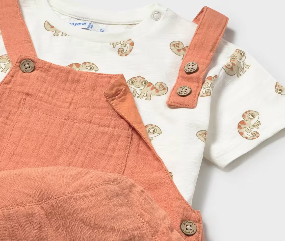 Baby Lizard Tee + Shortie Overall Set