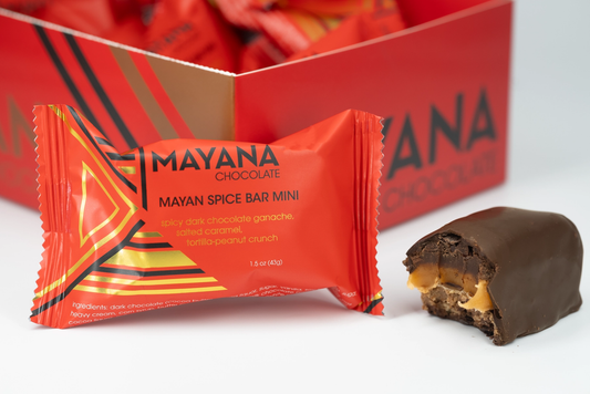 Mini Chocolate Bar Mayan Spice