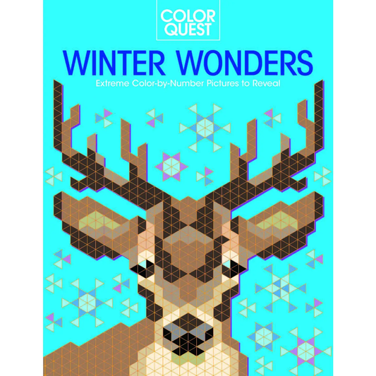 Color Quest: Winter Wonders