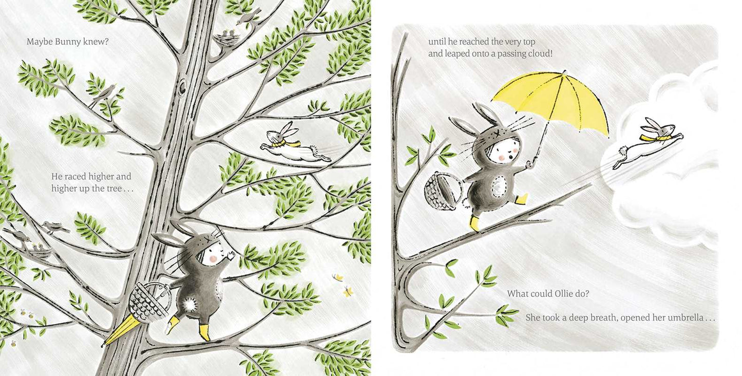 Little Rabbit Book