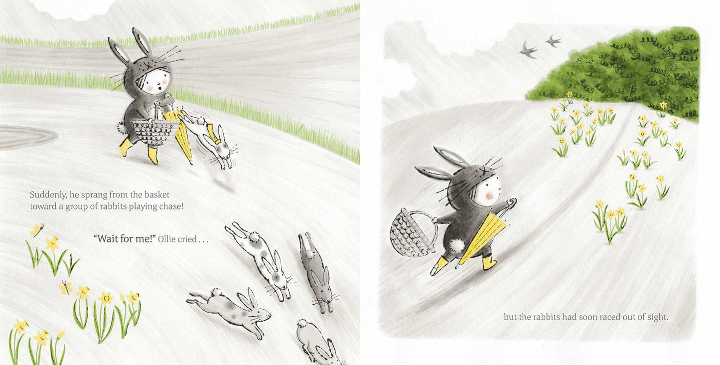 Little Rabbit Book