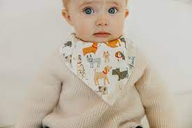 Rufus Baby Bandana Bib Set 4pk