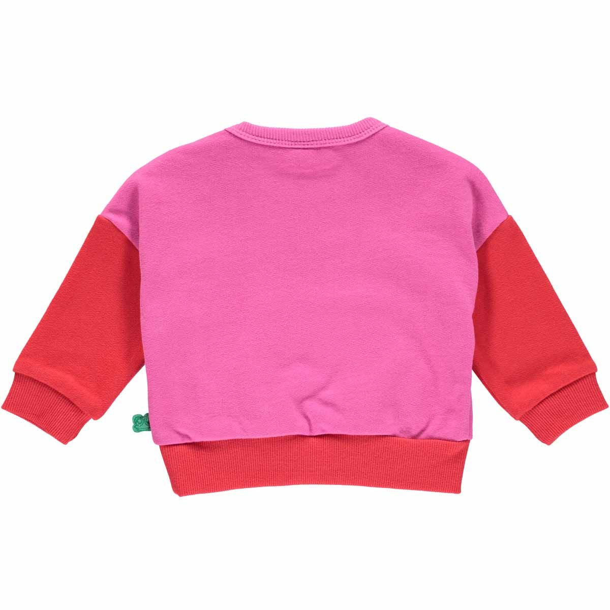 Block Color Toddler Sweatshirt