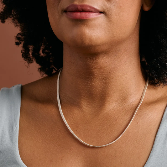Zara Silver Tone Snake Necklace