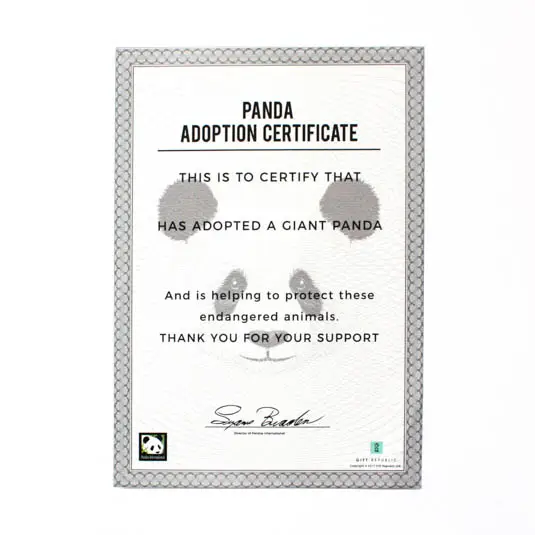 Adopt a Panda