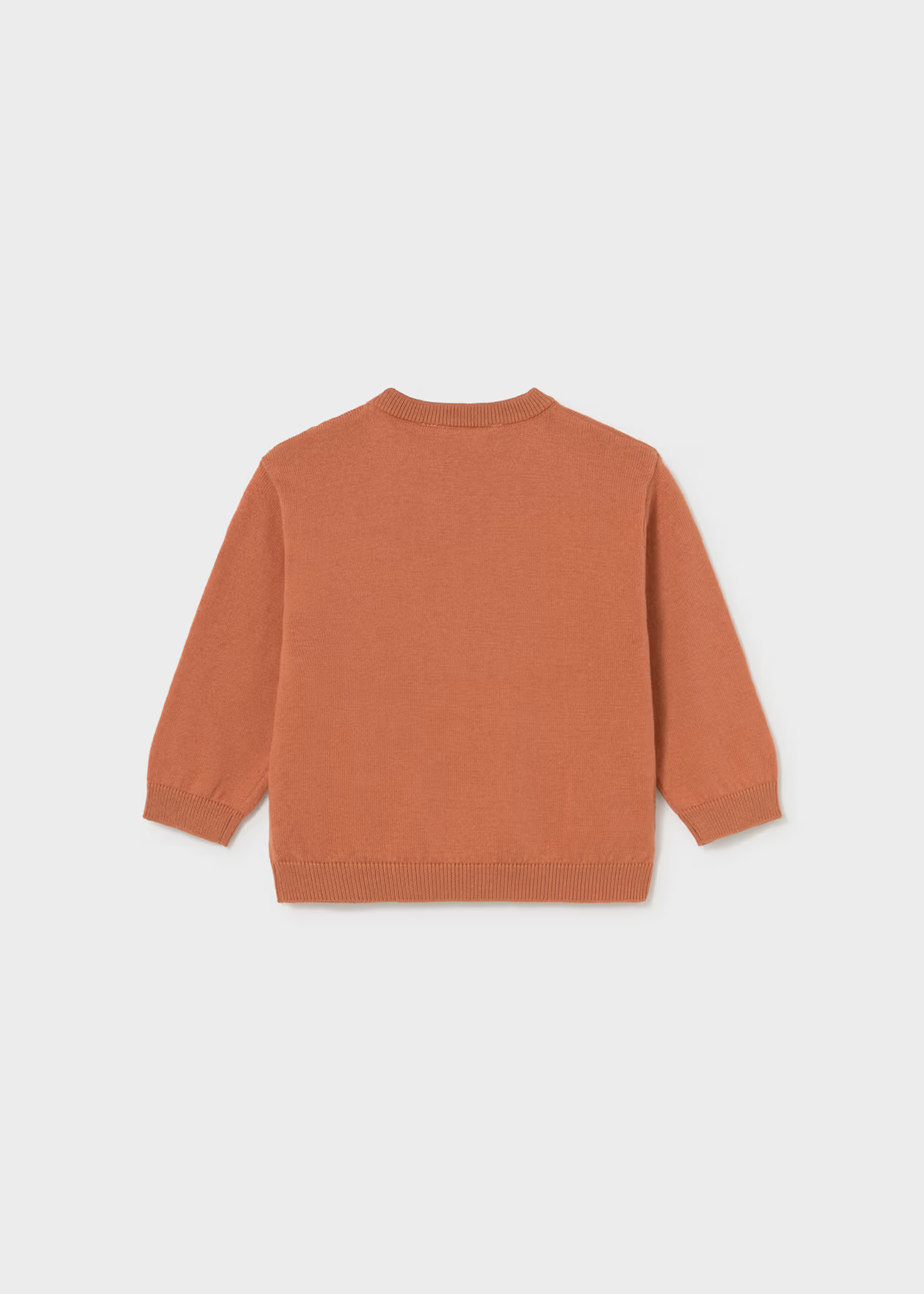 Baby Animal Intarsia Sweater
