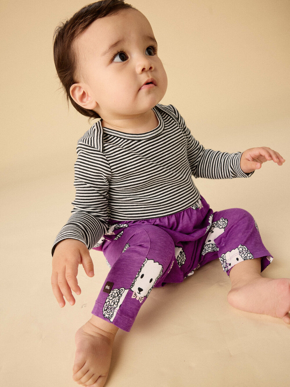 Baby Maltipoo Mix Print Romper
