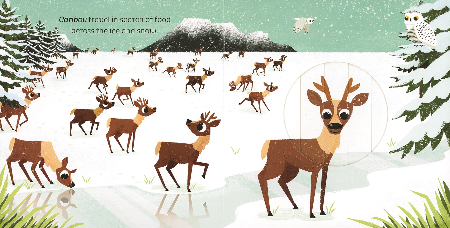 In the Snow Board Book