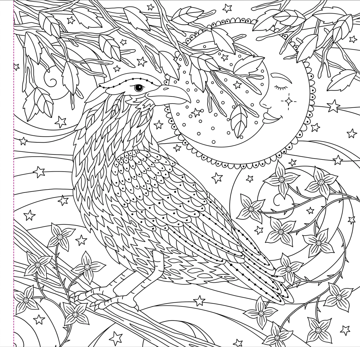 Witchcraft & Wonder Coloring Book