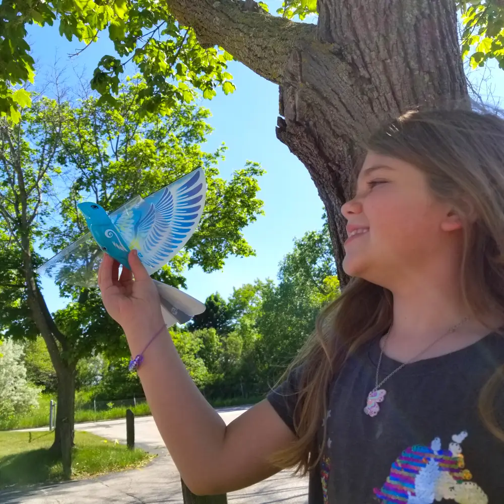 EBird Self Flying Bird