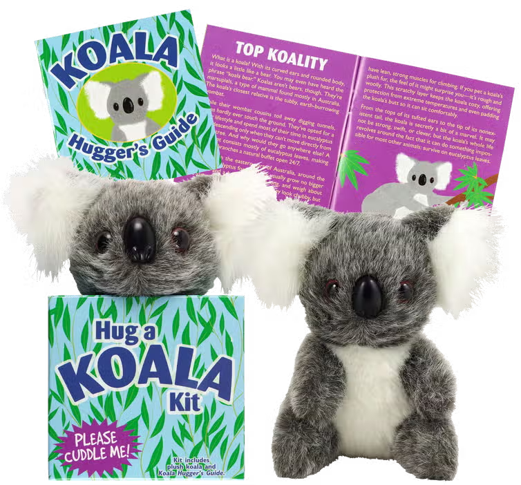 Hug A Koala Kit