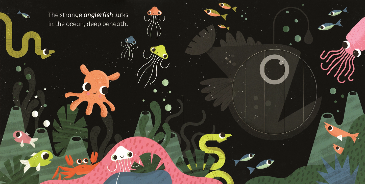In the Ocean Board Book
