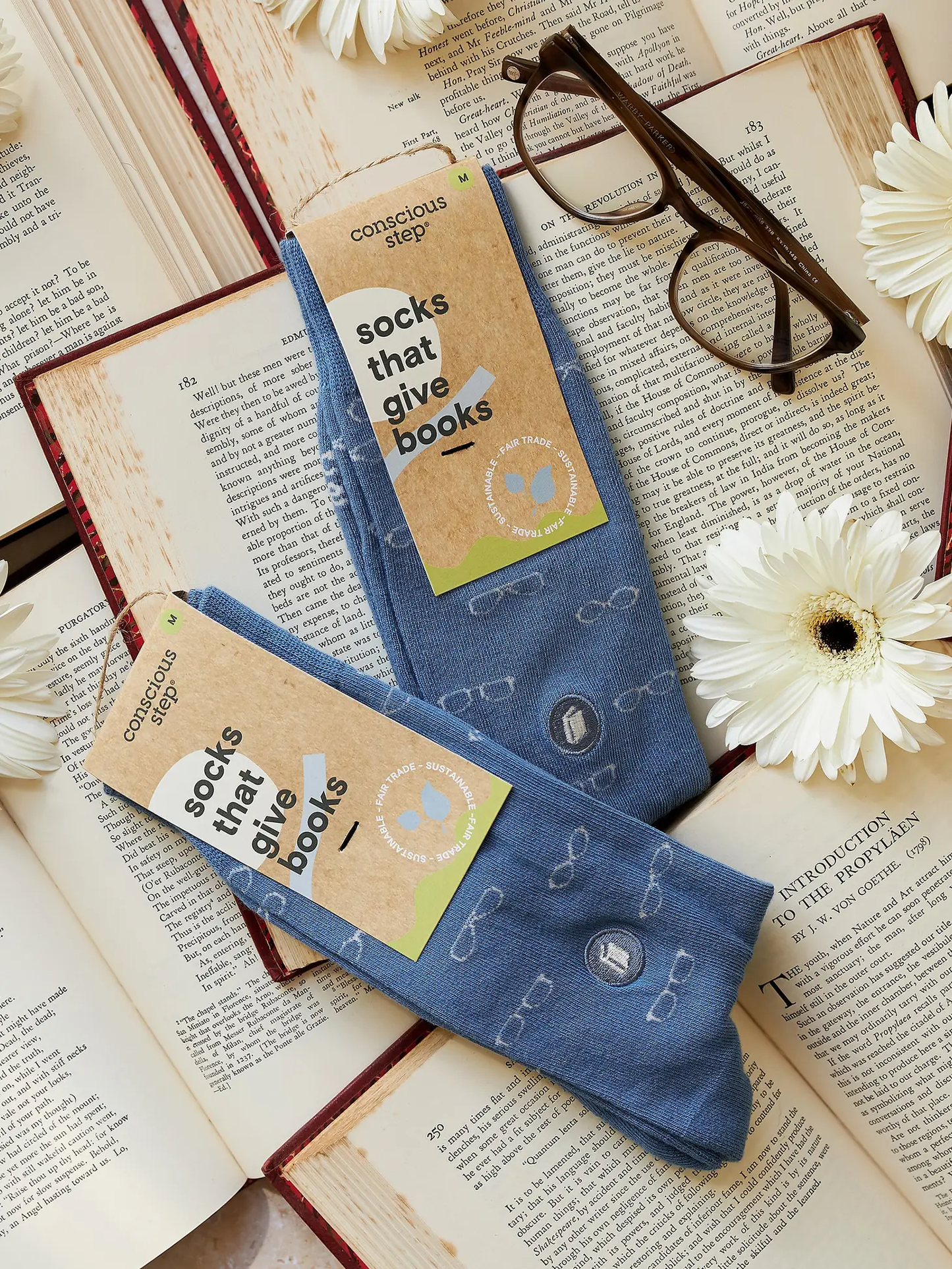 Socks That Give Books - Glasses