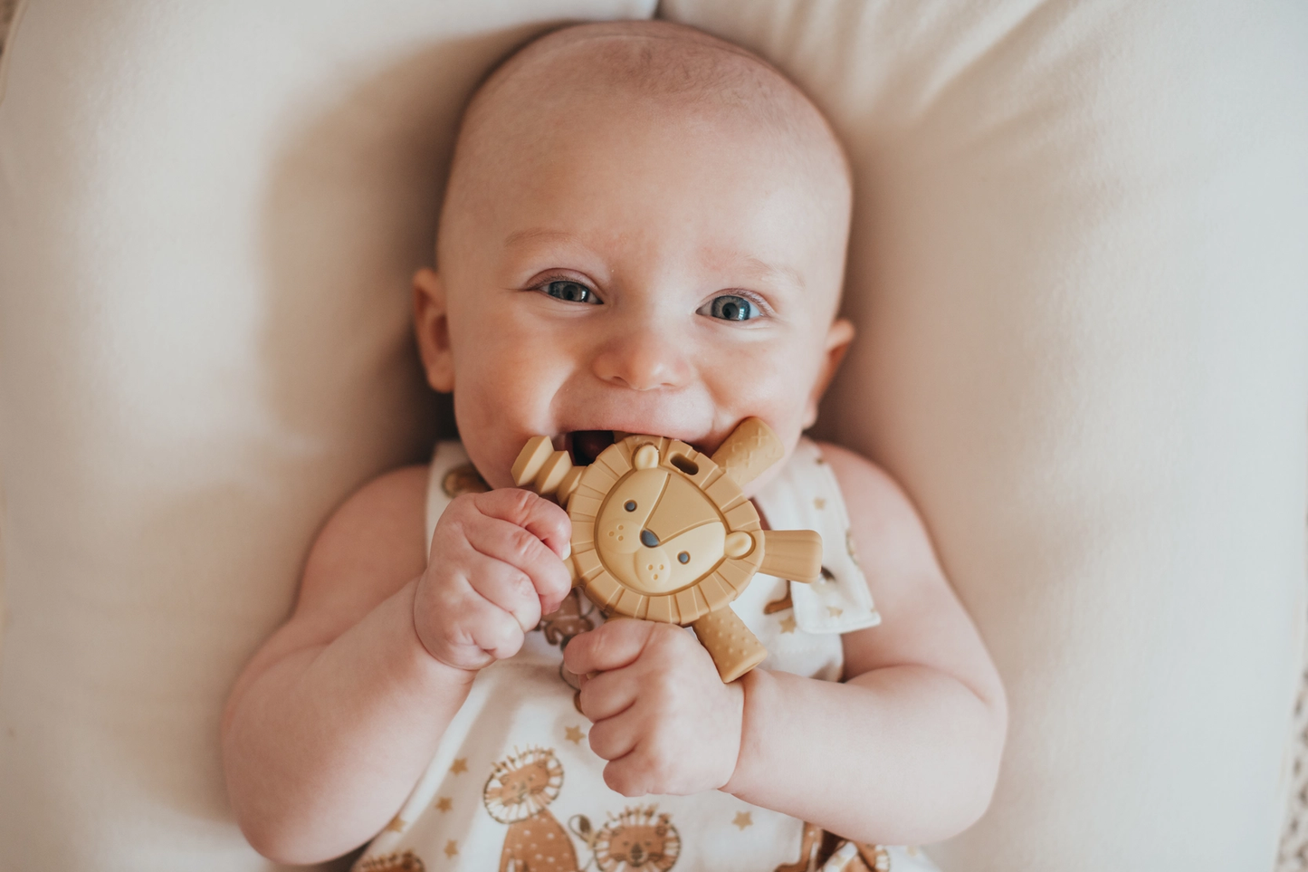 Lion Ritzy Molar Teether