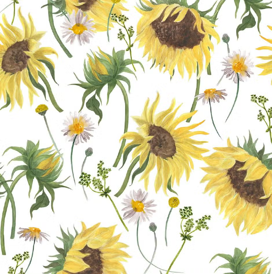 Organic Sleeper Sunflowers