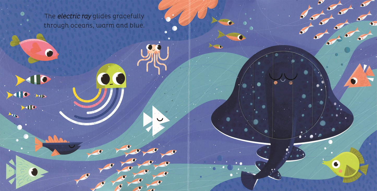In the Ocean Board Book
