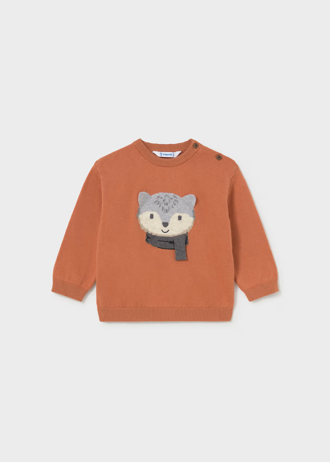 Baby Animal Intarsia Sweater