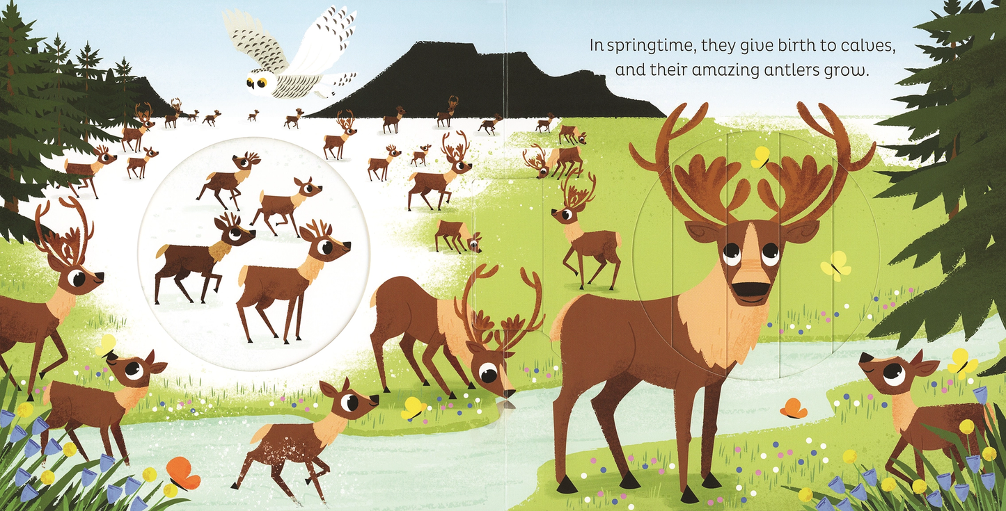 In the Snow Board Book