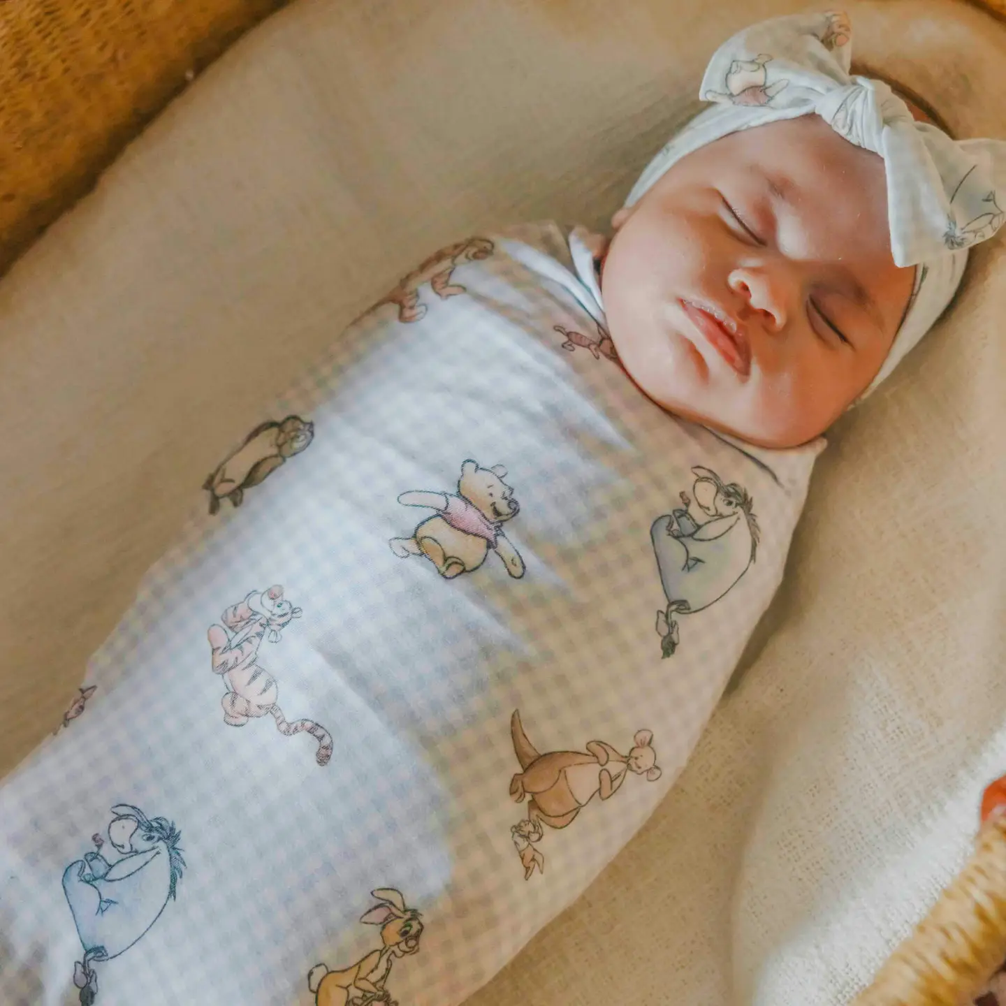 Winnie the Pooh & Friends Knit Swaddle Blanket