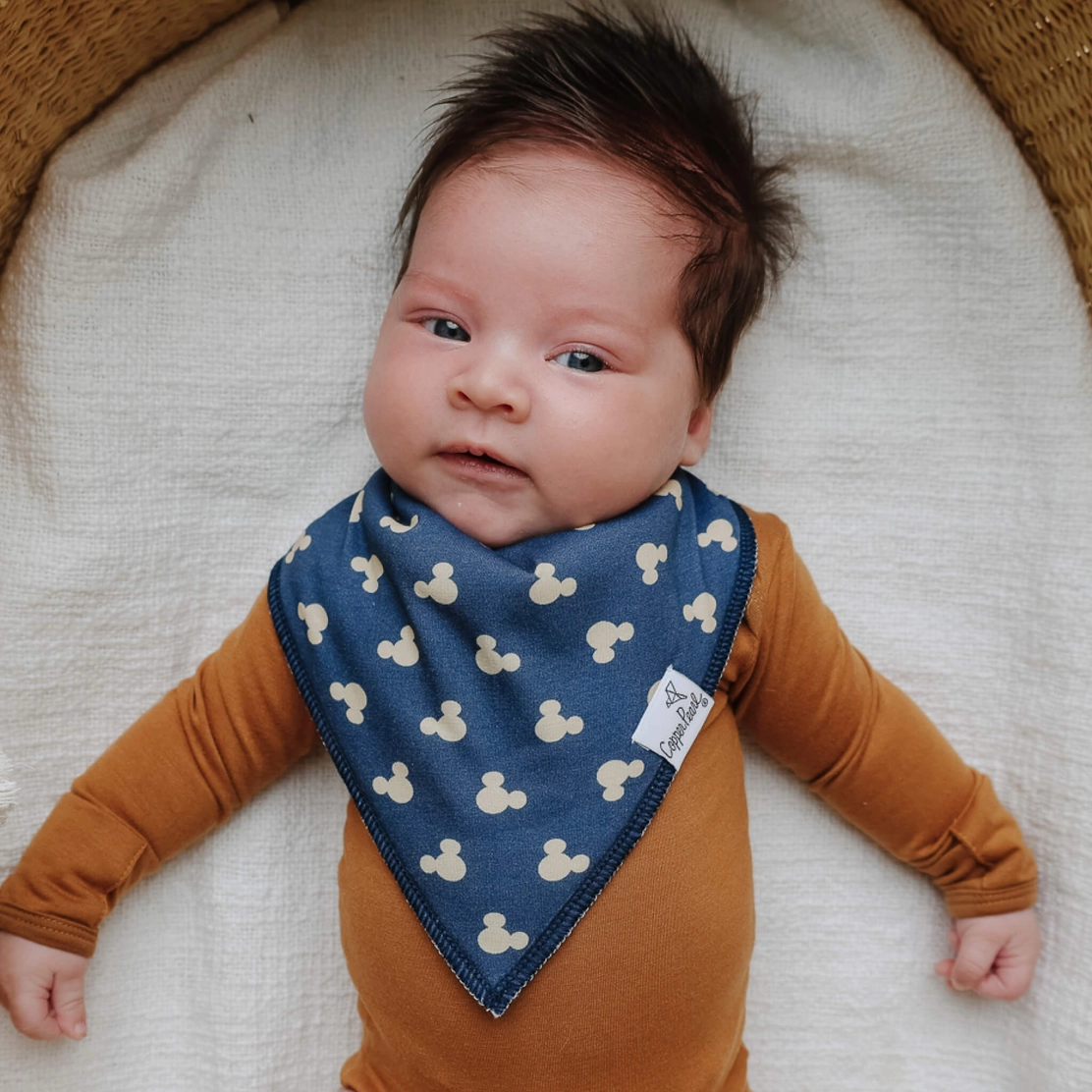 Mickey Mouse & Friends Baby Bandana Bib Set 4pk