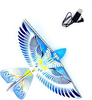EBird Self Flying Bird