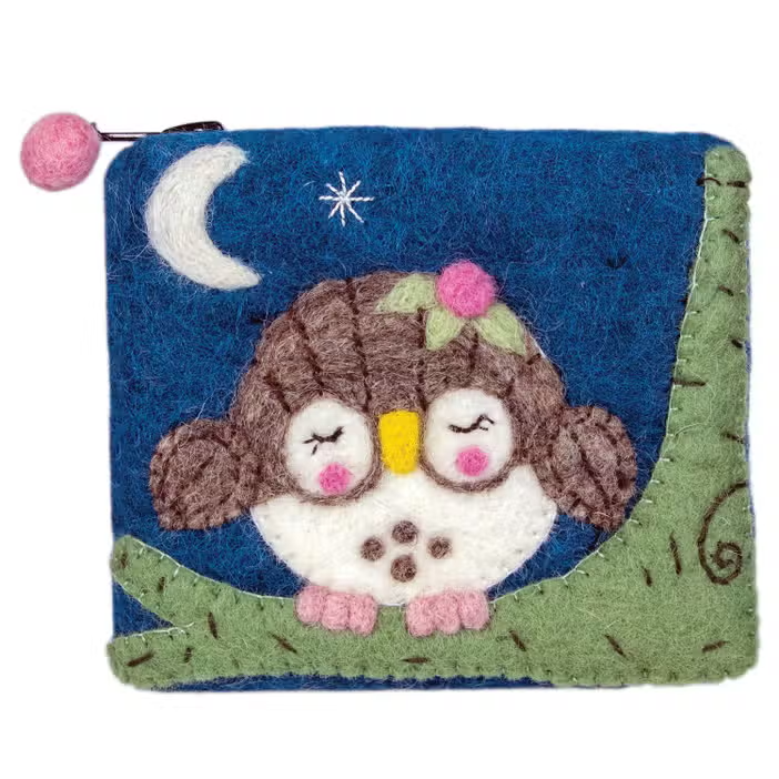 Felted Coin Purse Olivia Owlette