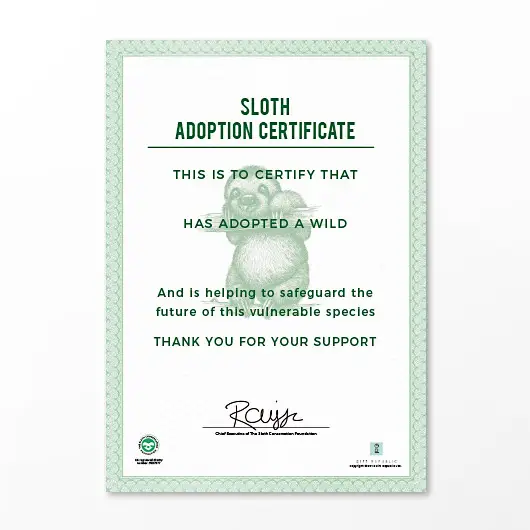 Adopt a Sloth