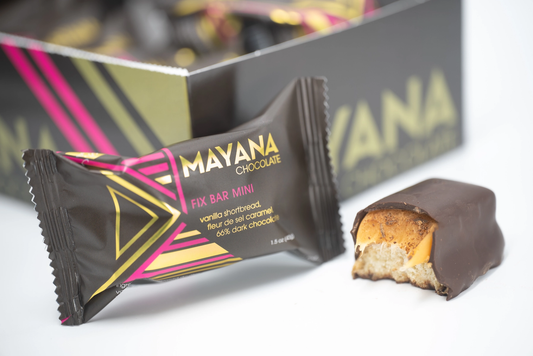 Mini Chocolate Bar Fix