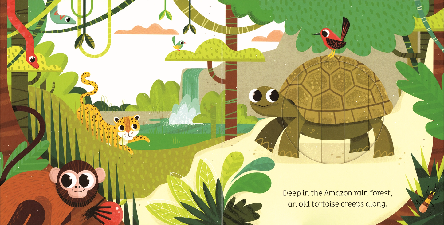 In the Jungle Board Book