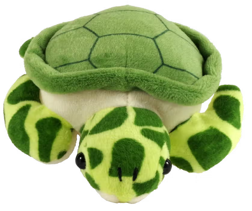 Hug A Sea Turtle