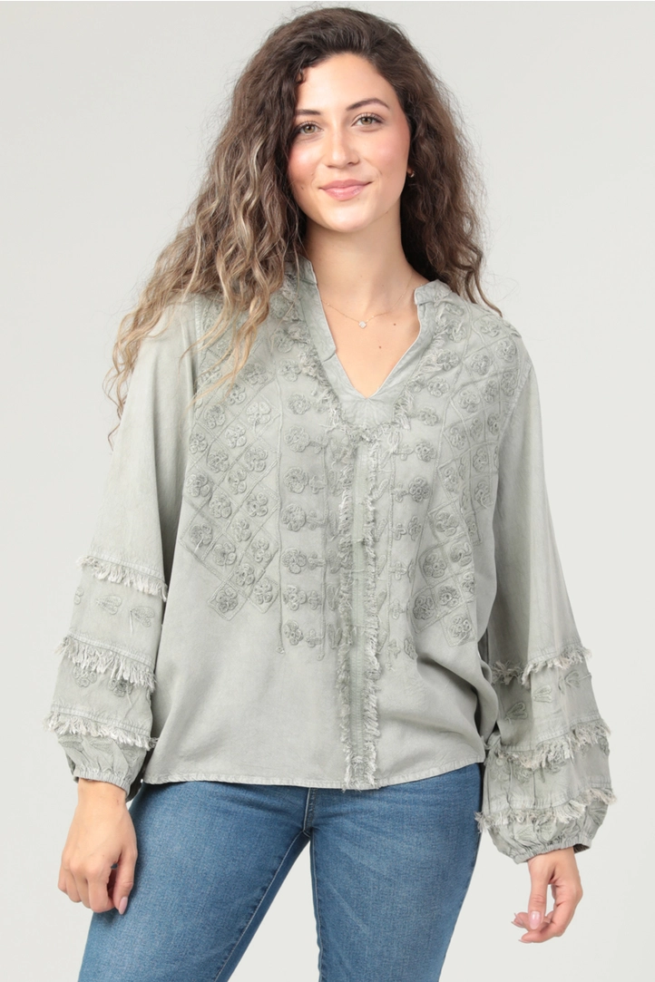 Embroidered V-Neck Blouse
