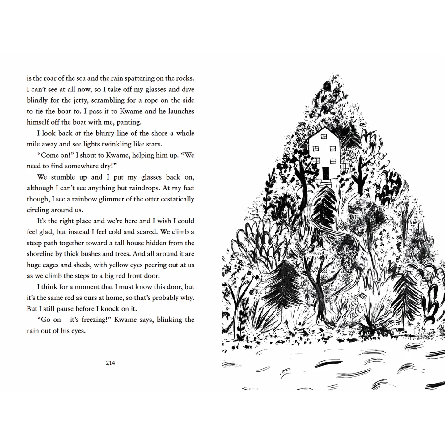 The Night Animals Chapter Book