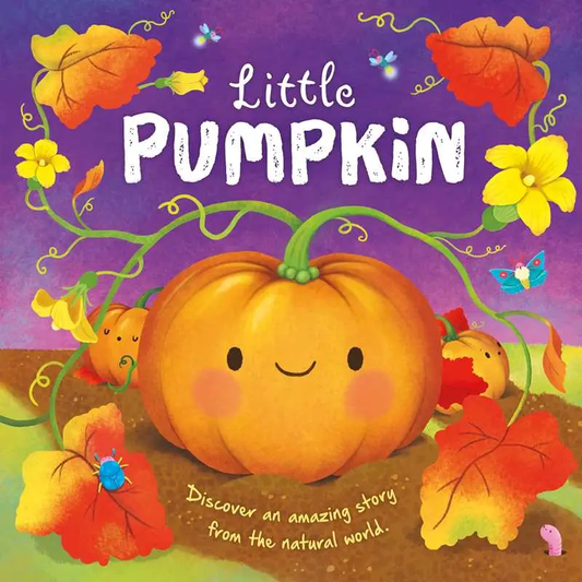 Little Pumpkin Board Book