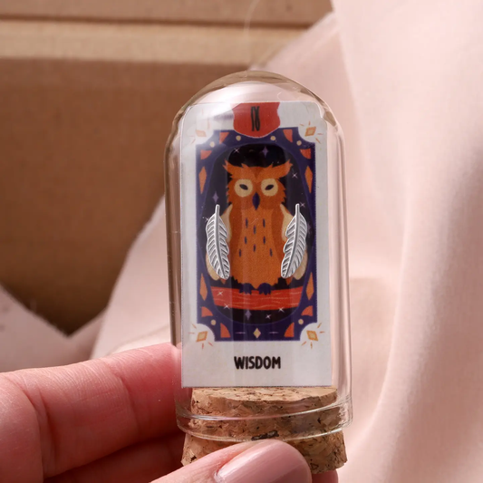 Owl Wisdom Feather Earrings
