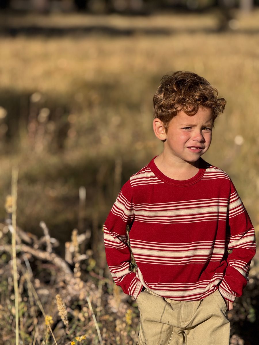 Boys Toby Rust/Cream Striped Top