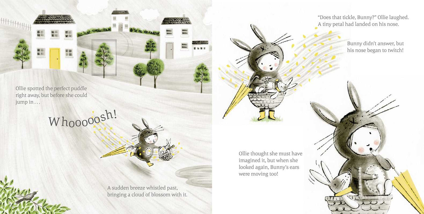 Little Rabbit Book