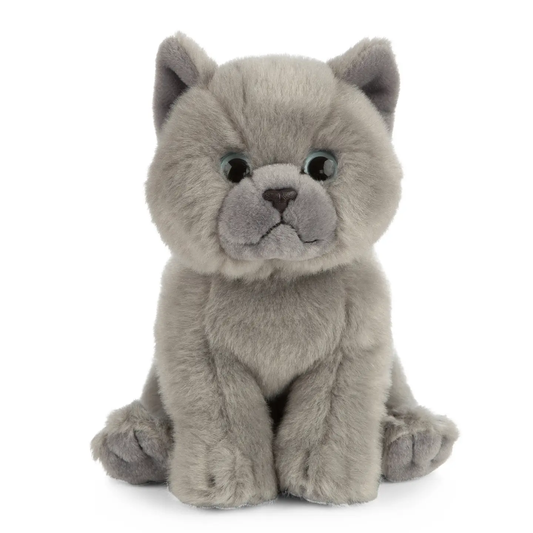 British Grey Shorthair Kitten Stuffed Animal