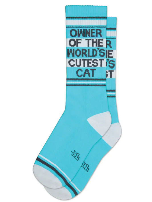 Owner of the Cutest Cat Socks