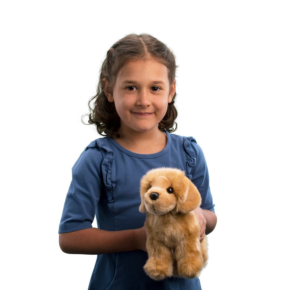Chap Golden Retriever Stuffed Animal