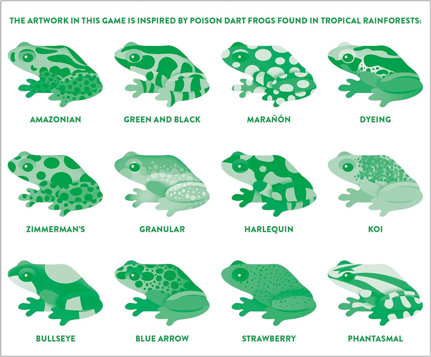 Memory Match Tropical Frogs