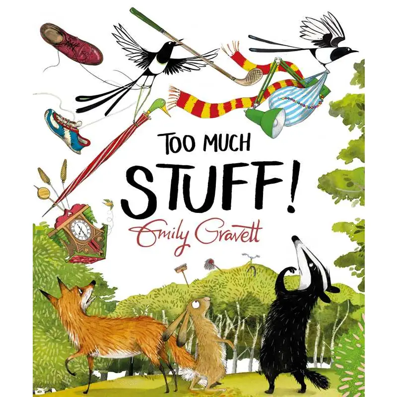 Too Much Stuff! Book