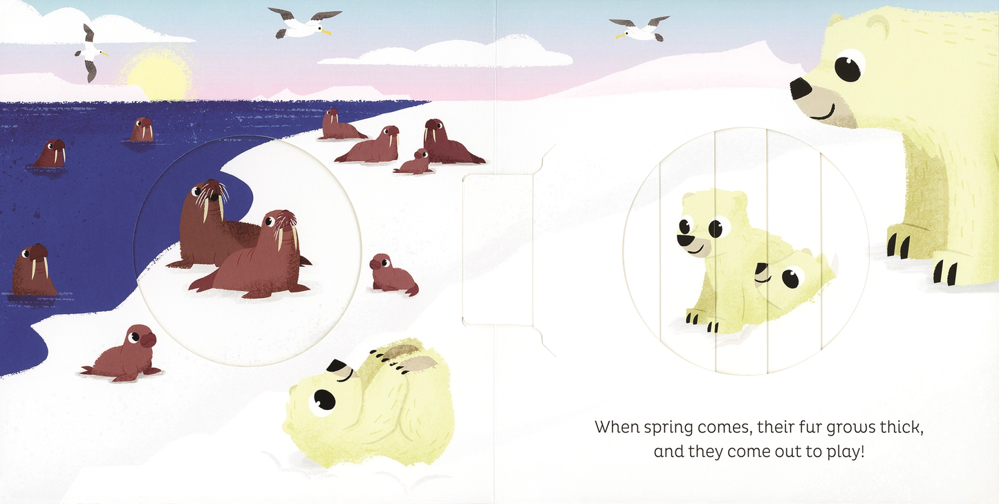 In the Snow Board Book