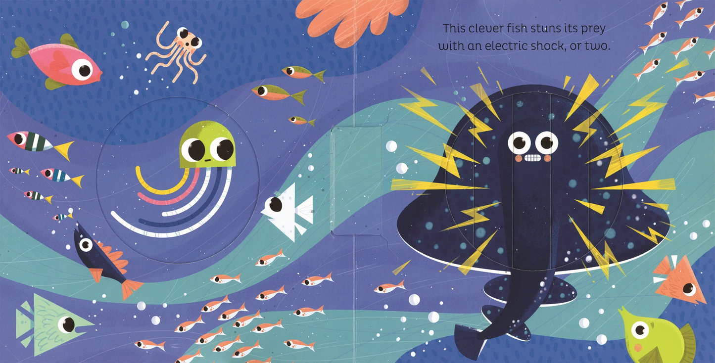 In the Ocean Board Book