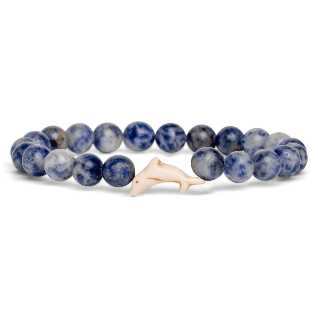 Fahlo Bracelet: The Odyssey Dolphin