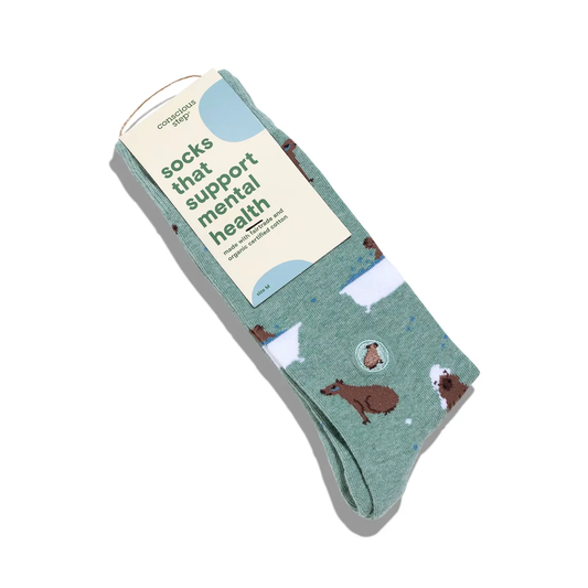 Socks That Support Mental Health - Yoga Capybaras